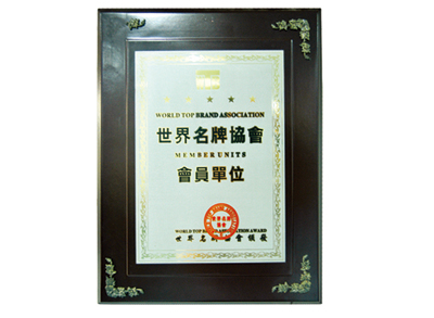 南方豪强展现实力，赢得国际关注和认可